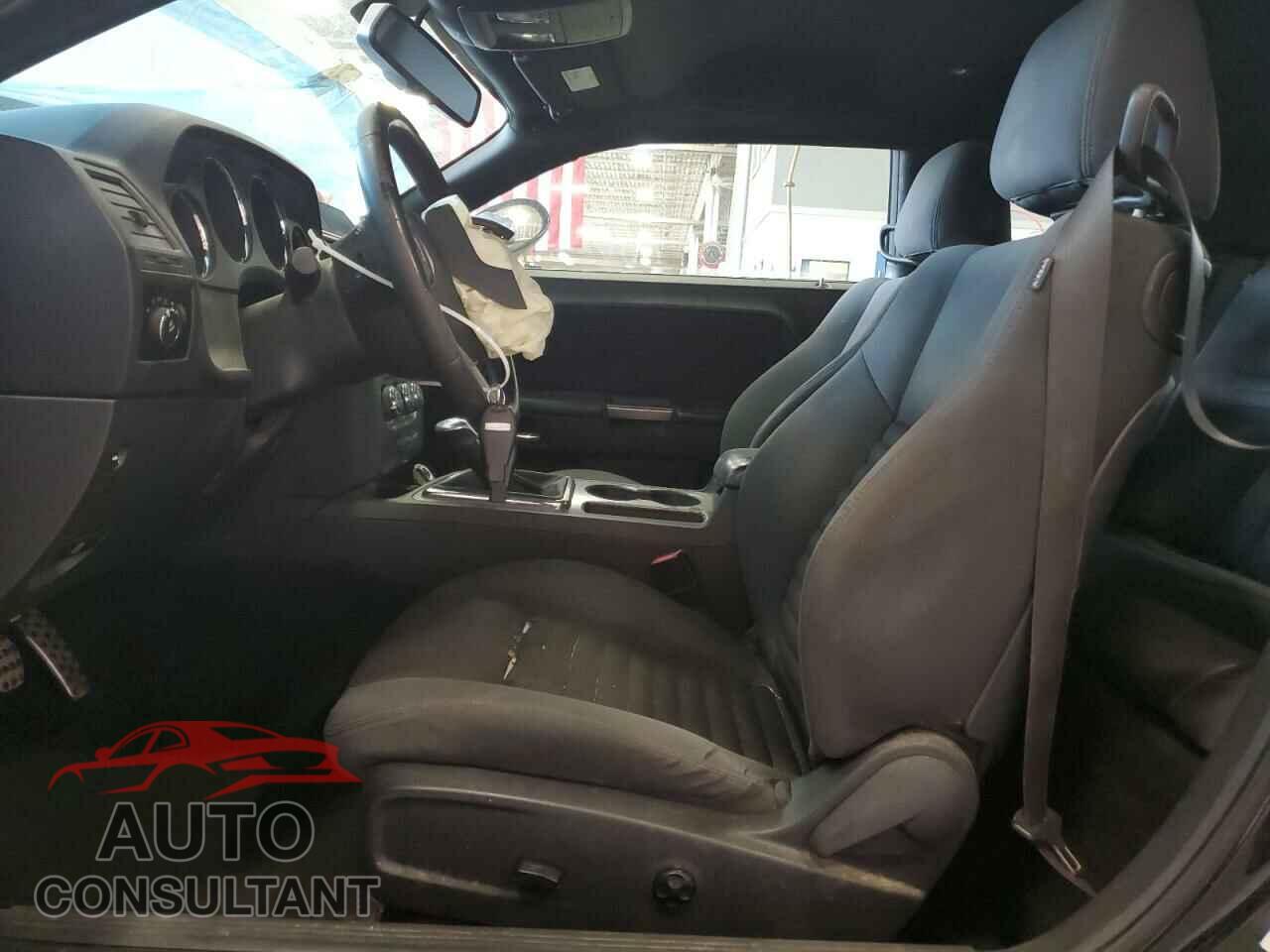 DODGE CHALLENGER 2013 - 2C3CDYBT9DH501059