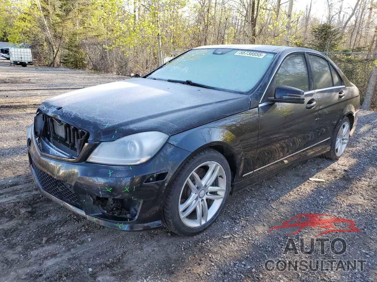 MERCEDES-BENZ C-CLASS 2014 - WDDGF8AB3EA955247