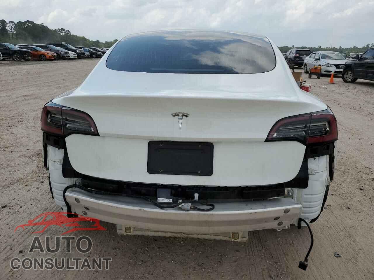 TESLA MODEL 3 2019 - 5YJ3E1EA1KF425107