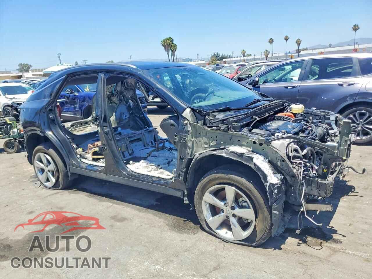 LEXUS UNKNOWN 2025 - 2T2BBMCA4SC073245