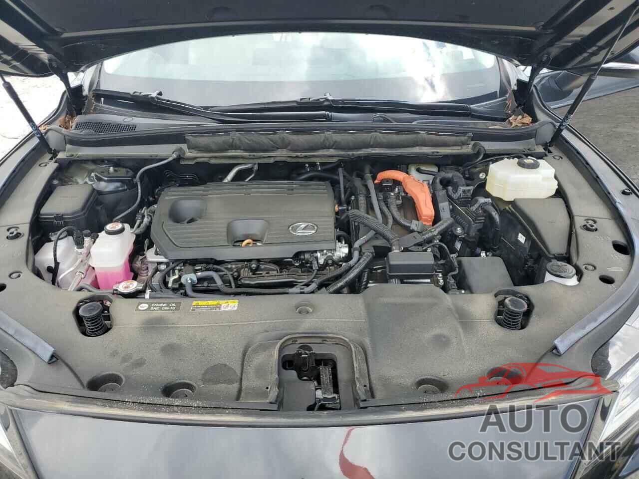 LEXUS RX 350H BA 2024 - 2T2BBMCA3RC035404