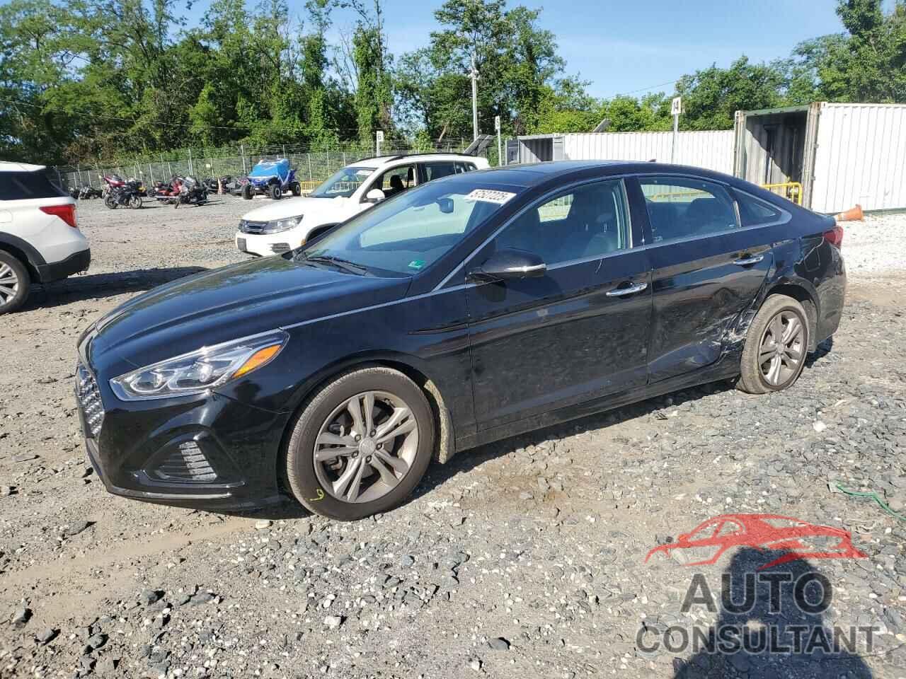 HYUNDAI SONATA 2019 - 5NPE34AF3KH786132