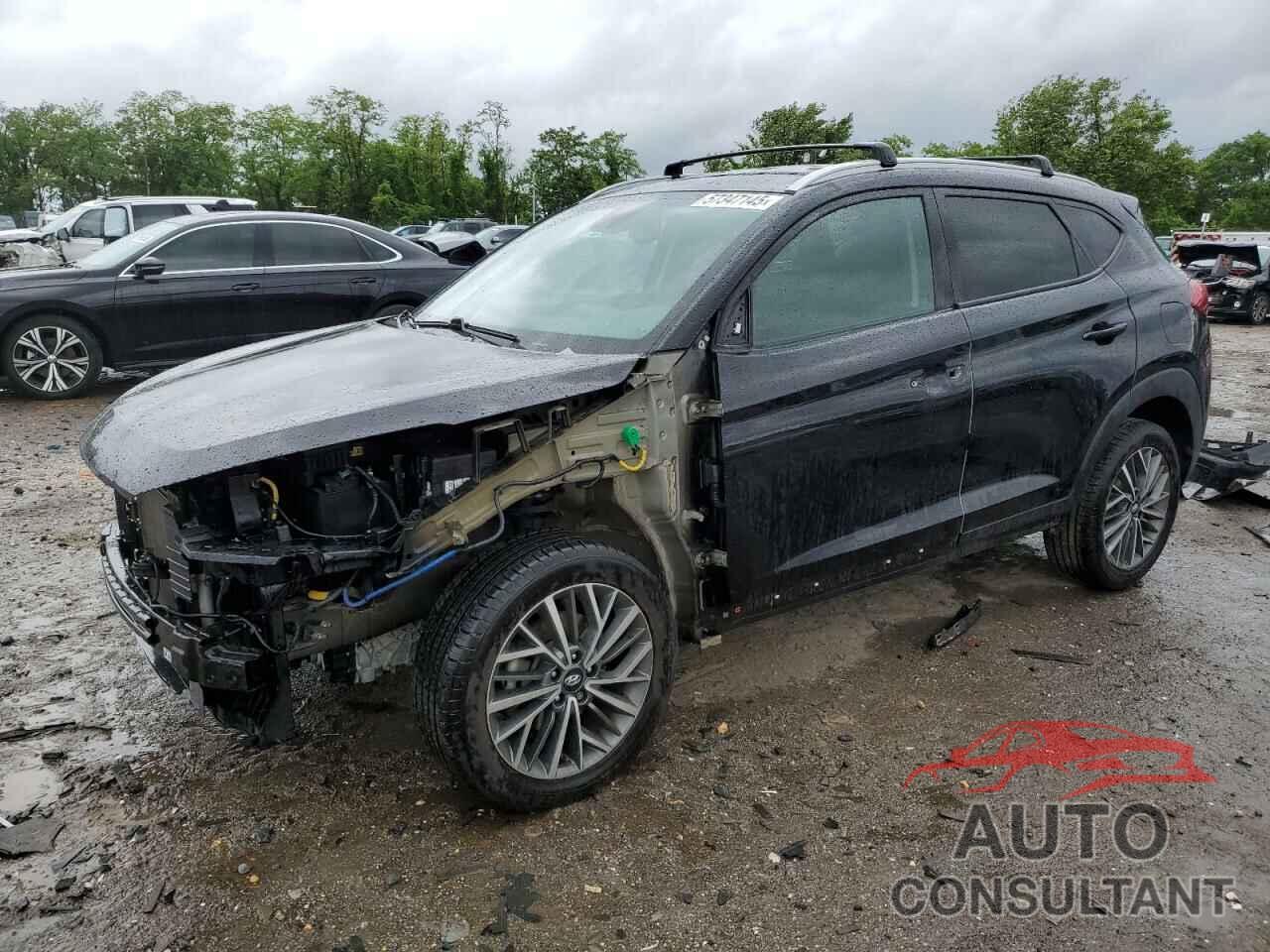 HYUNDAI TUCSON 2019 - KM8J33AL9KU070402