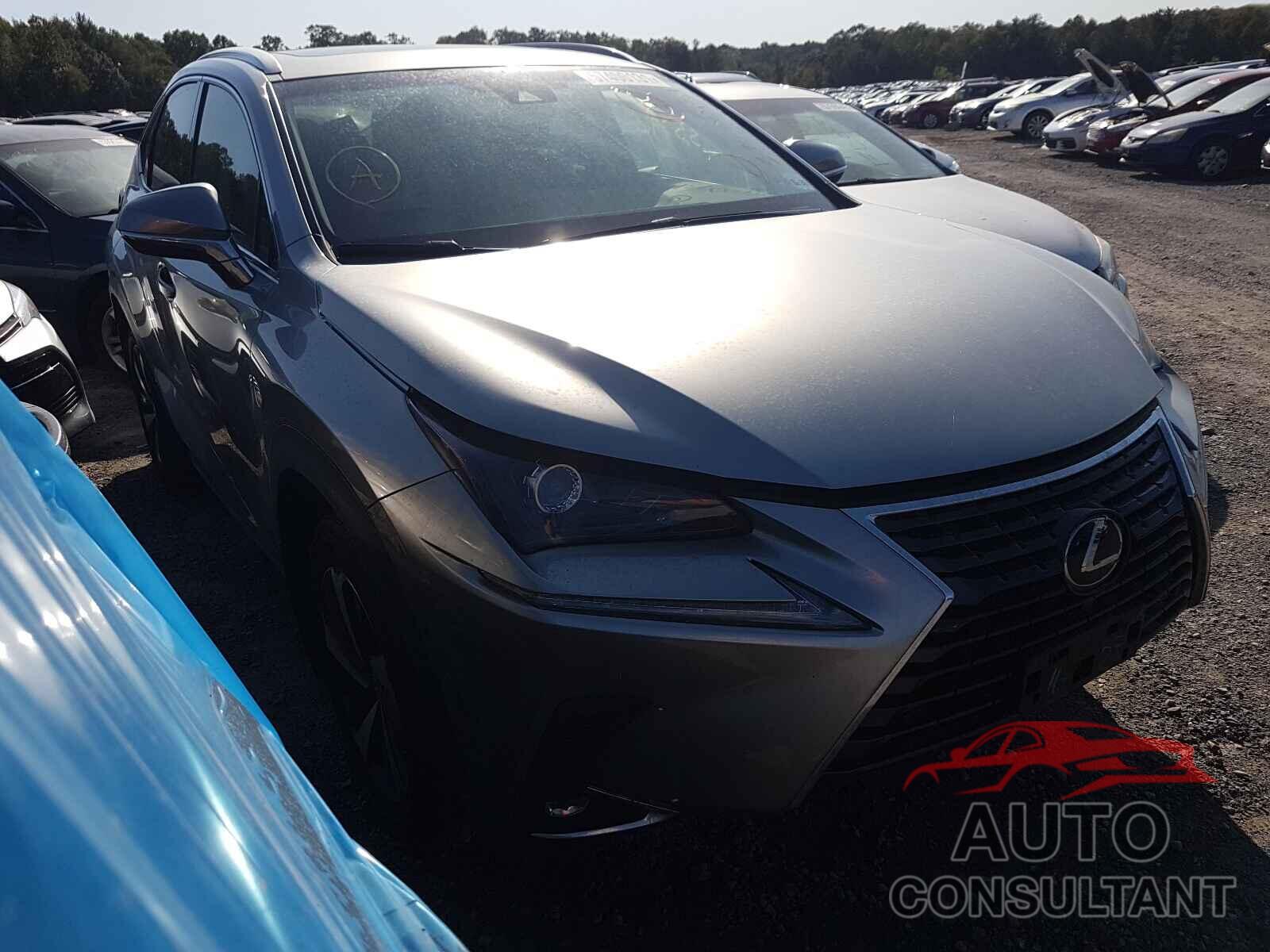 LEXUS NX 2019 - JTJBARBZ8K2196604