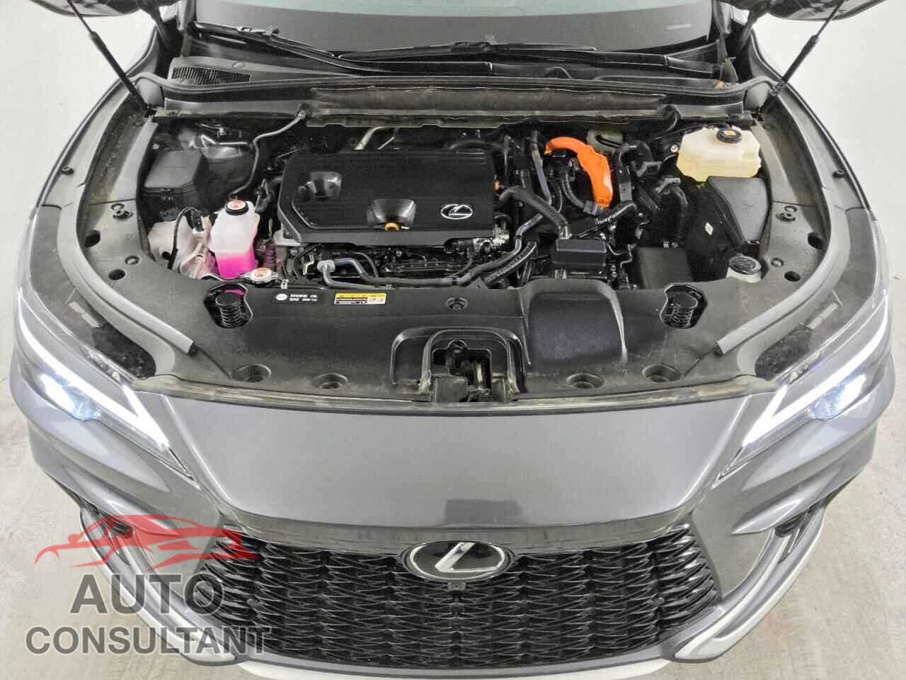 LEXUS UNKNOWN 2025 - 2T2BBMCA2SC101513