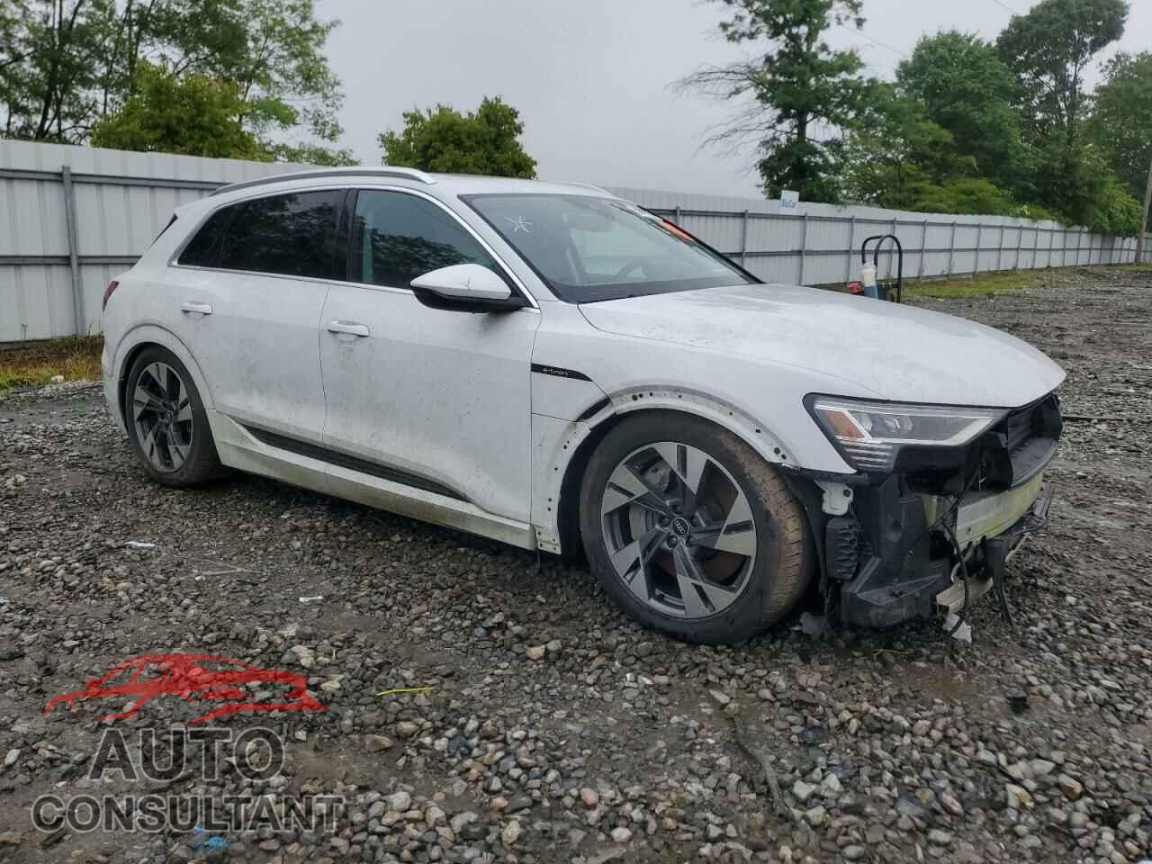 AUDI E-TRON 2021 - WA1AAAGE2MB037094