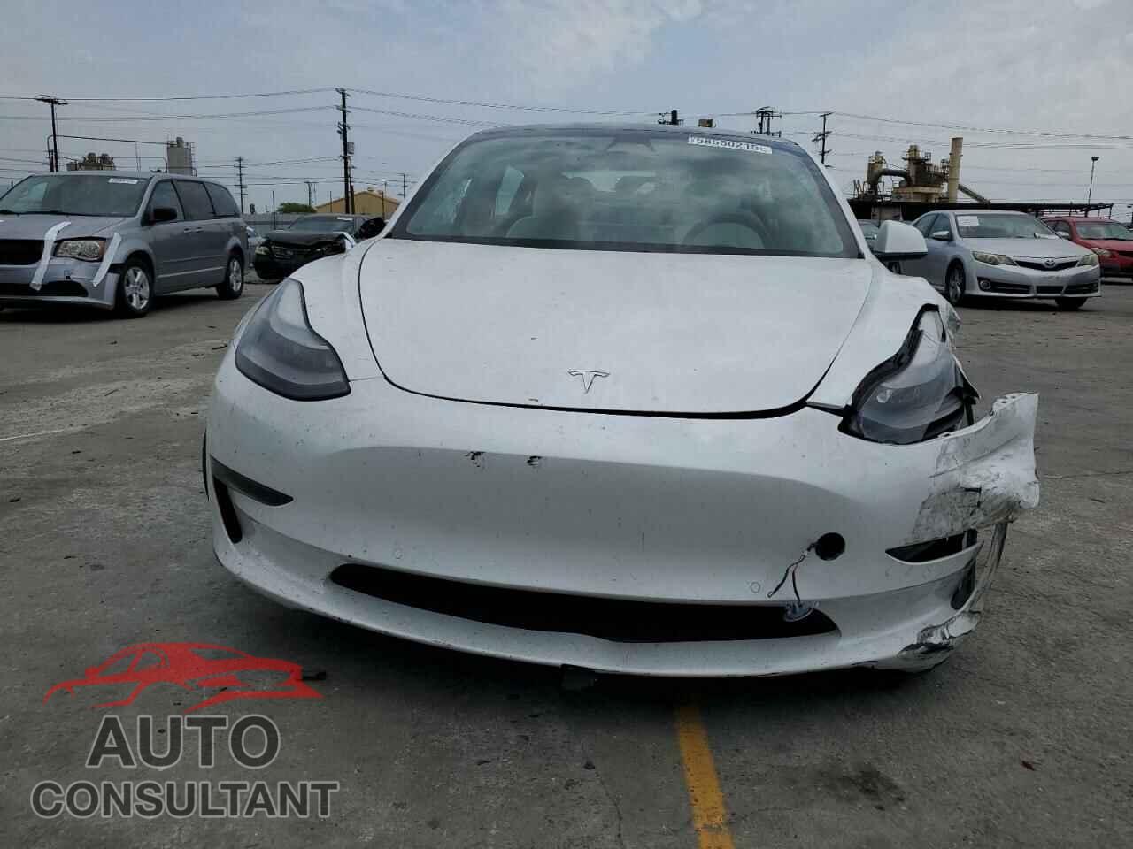 TESLA MODEL 3 2021 - 5YJ3E1EA9MF031390