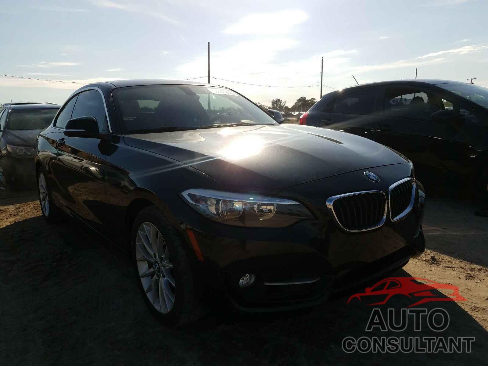 BMW 2 SERIES 2016 - WBA1F5C57GV343812