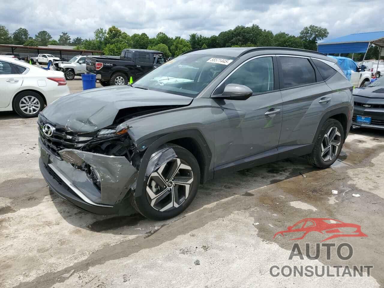 HYUNDAI TUCSON 2024 - 5NMJFCDE6RH322858
