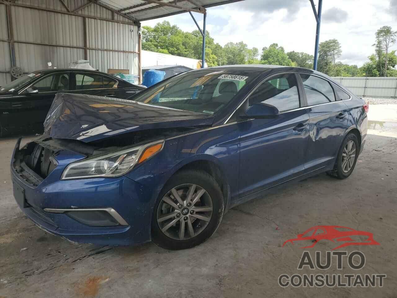 HYUNDAI SONATA 2016 - 5NPE24AF3GH304950
