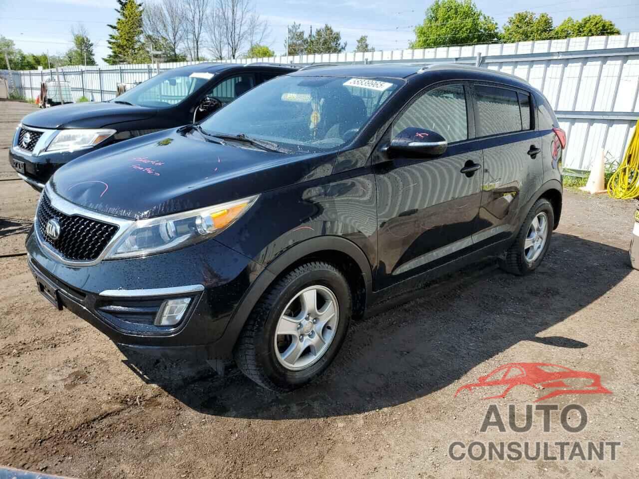 KIA SPORTAGE 2016 - KNDPB3ACXG7798768