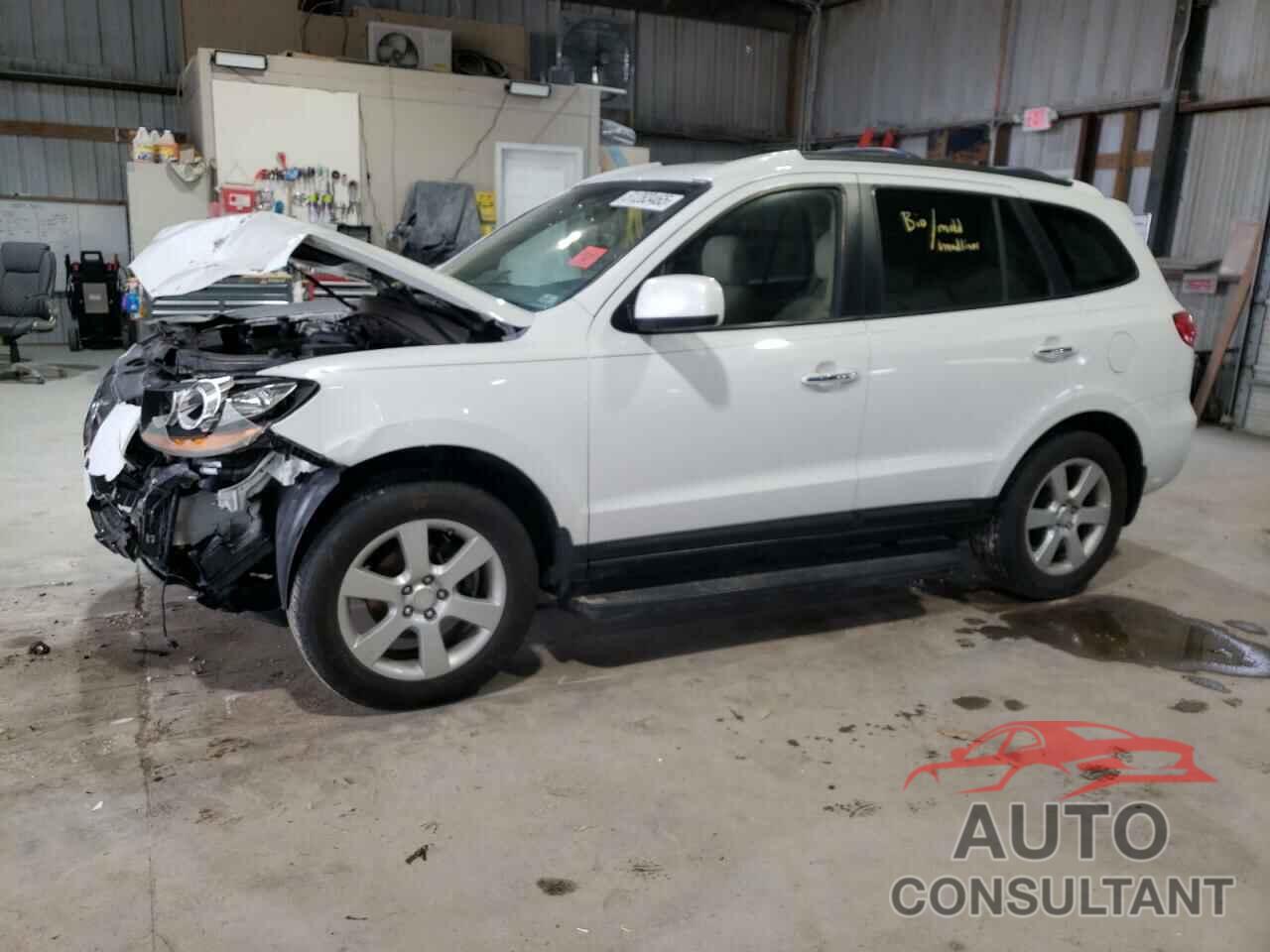 HYUNDAI SANTA FE 2009 - 5NMSH13EX9H245688