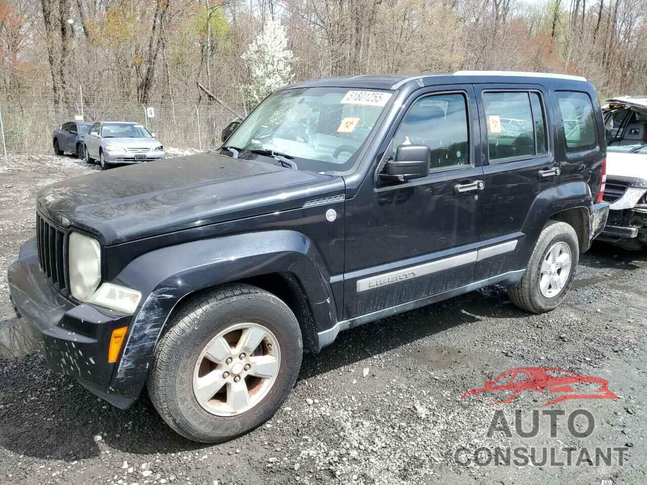 JEEP LIBERTY 2011 - 1J4PN2GK0BW565491