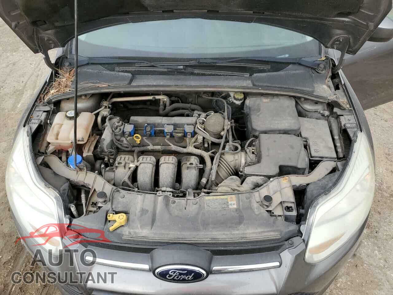 FORD FOCUS 2012 - 1FAHP3F25CL415543