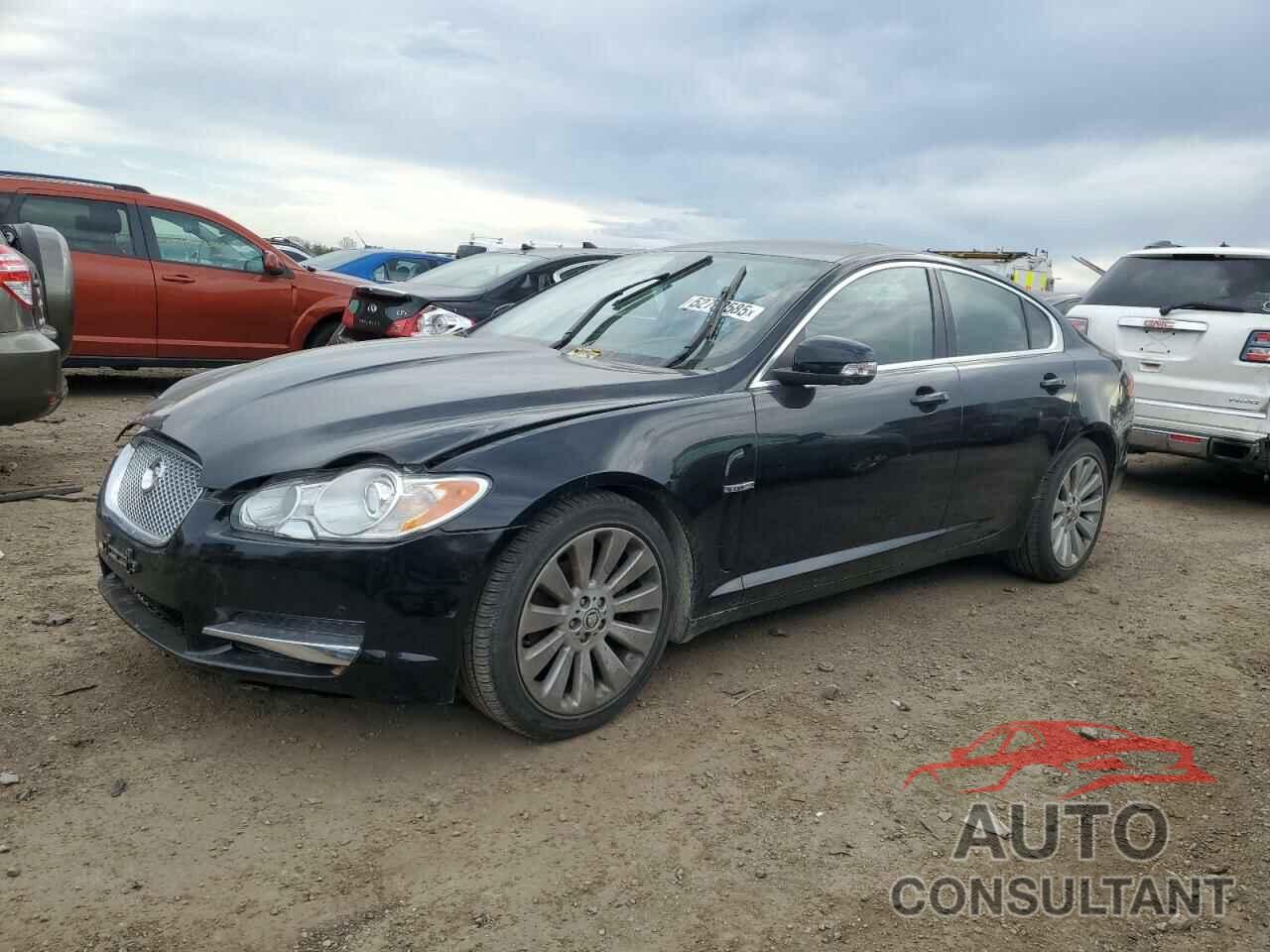 JAGUAR XF 2009 - SAJWA06B09HR20338