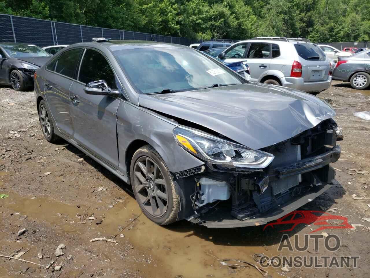HYUNDAI SONATA 2018 - 5NPE34AB7JH620644