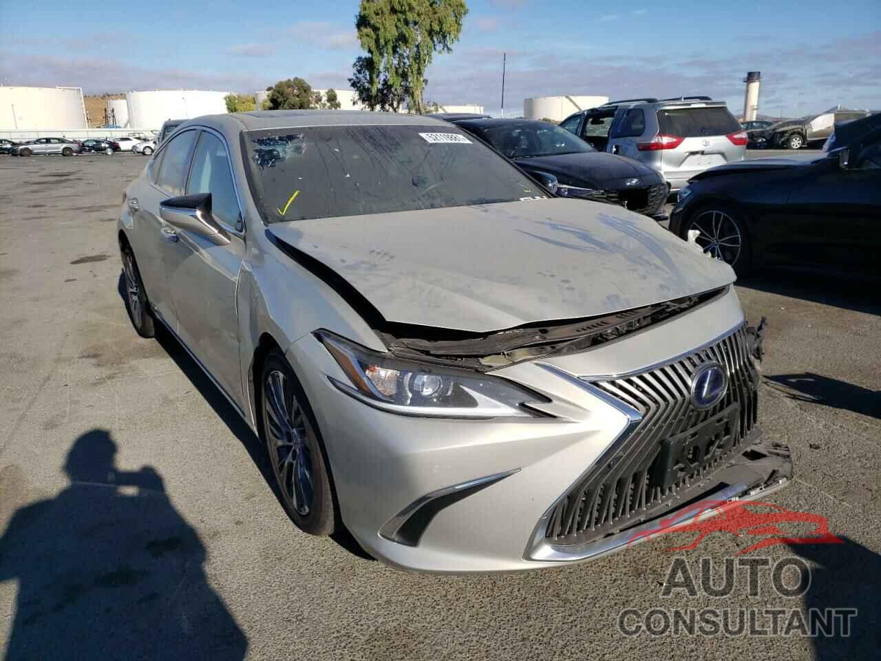 LEXUS ES300 2020 - 58AD21B16LU007849