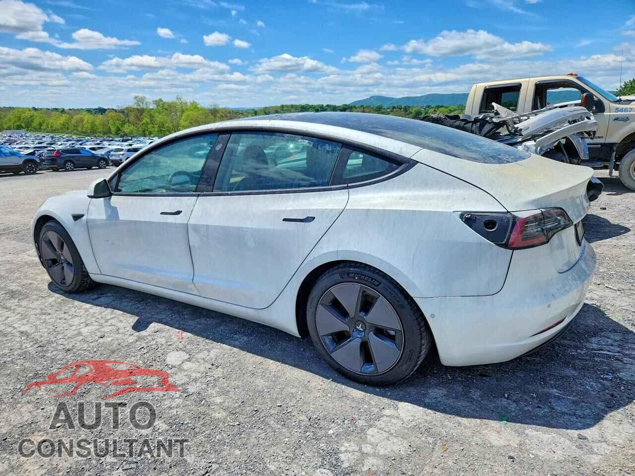 TESLA MODEL 3 2021 - 5YJ3E1EA3MF857894