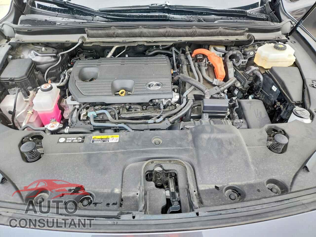 LEXUS UNKNOWN 2025 - 2T2BBMCA9SC070745