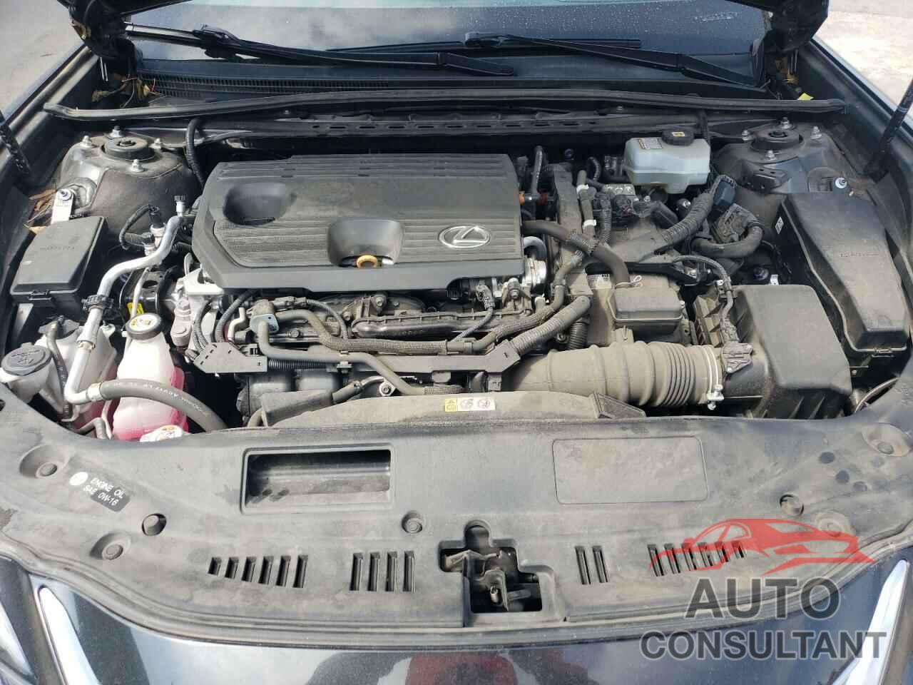 LEXUS ES300 2022 - 58ACA1C15NU020821