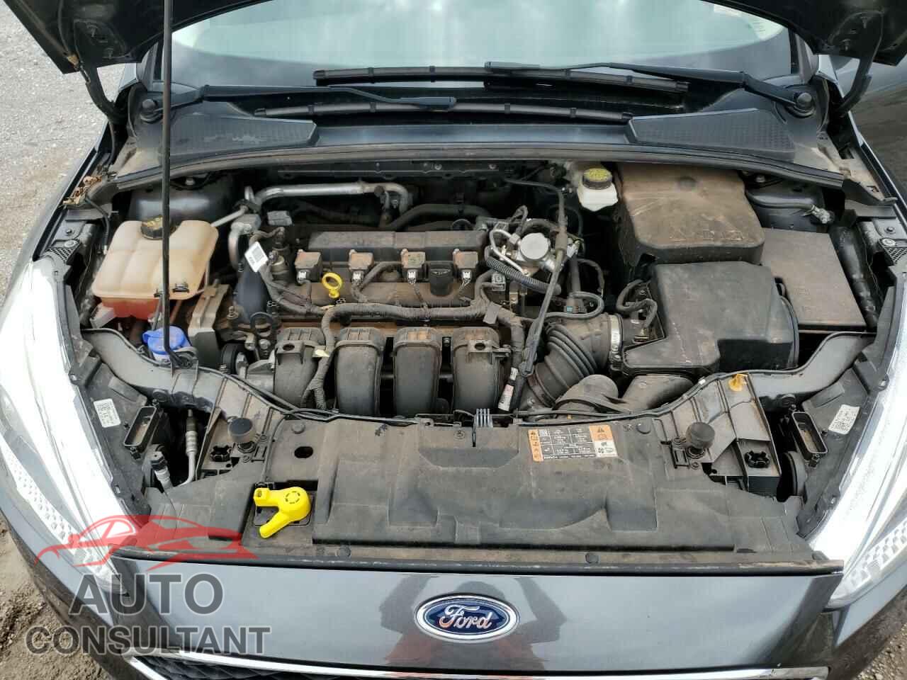 FORD FOCUS 2017 - 1FADP3E24HL222565