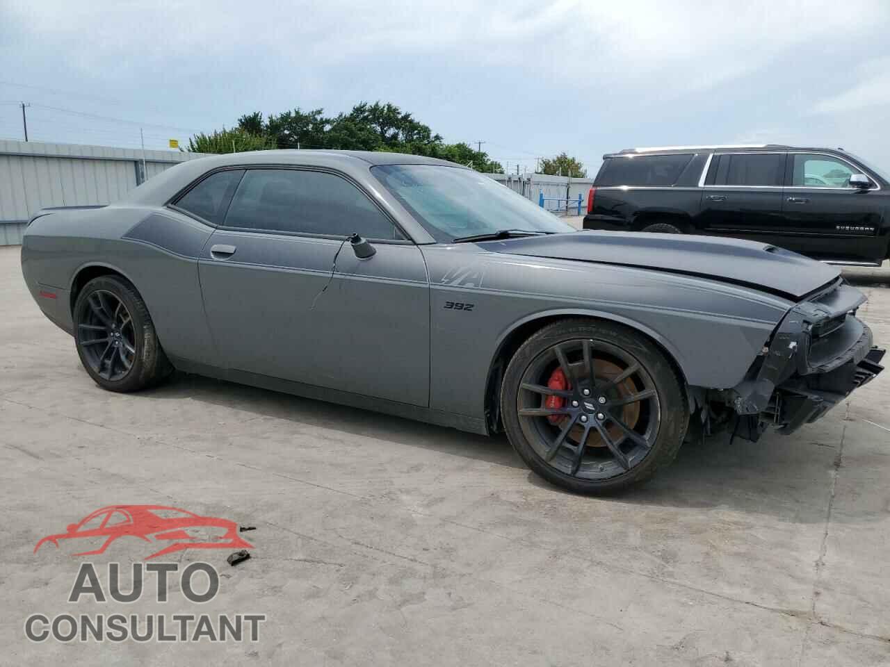 DODGE CHALLENGER 2019 - 2C3CDZFJ6KH541515