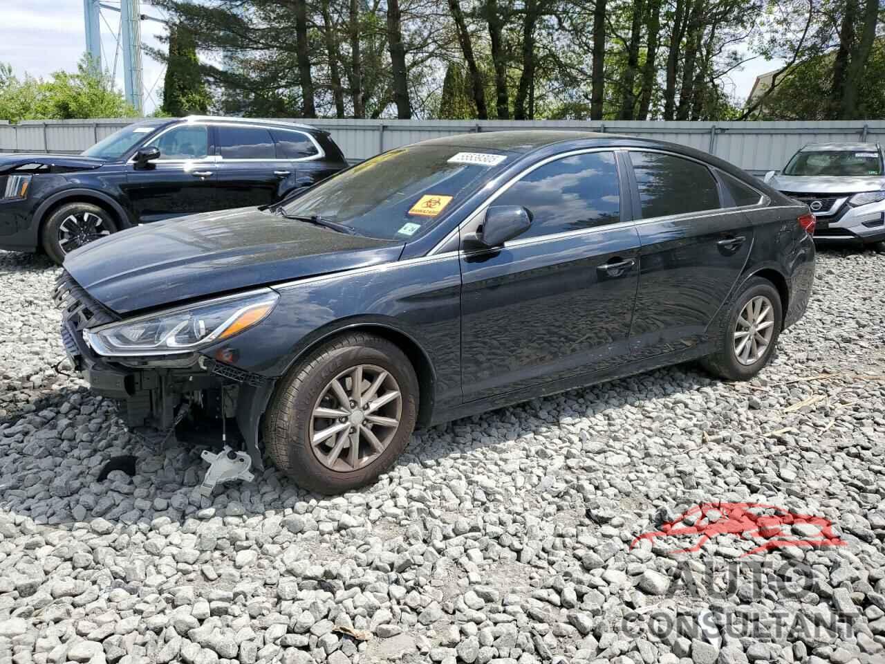 HYUNDAI SONATA 2019 - 5NPE24AF5KH785566