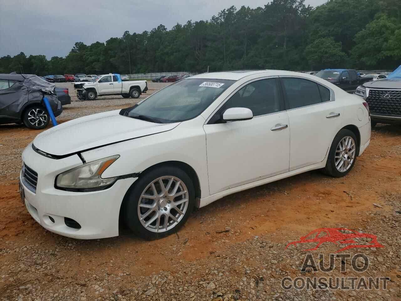 NISSAN MAXIMA 2010 - 1N4AA5APXAC812146