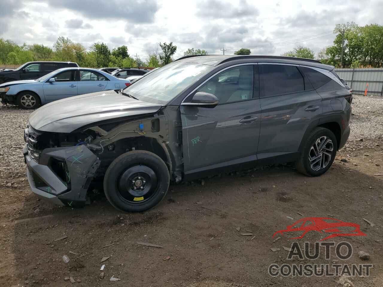 HYUNDAI TUCSON 2025 - 5NMJECDE5SH493870