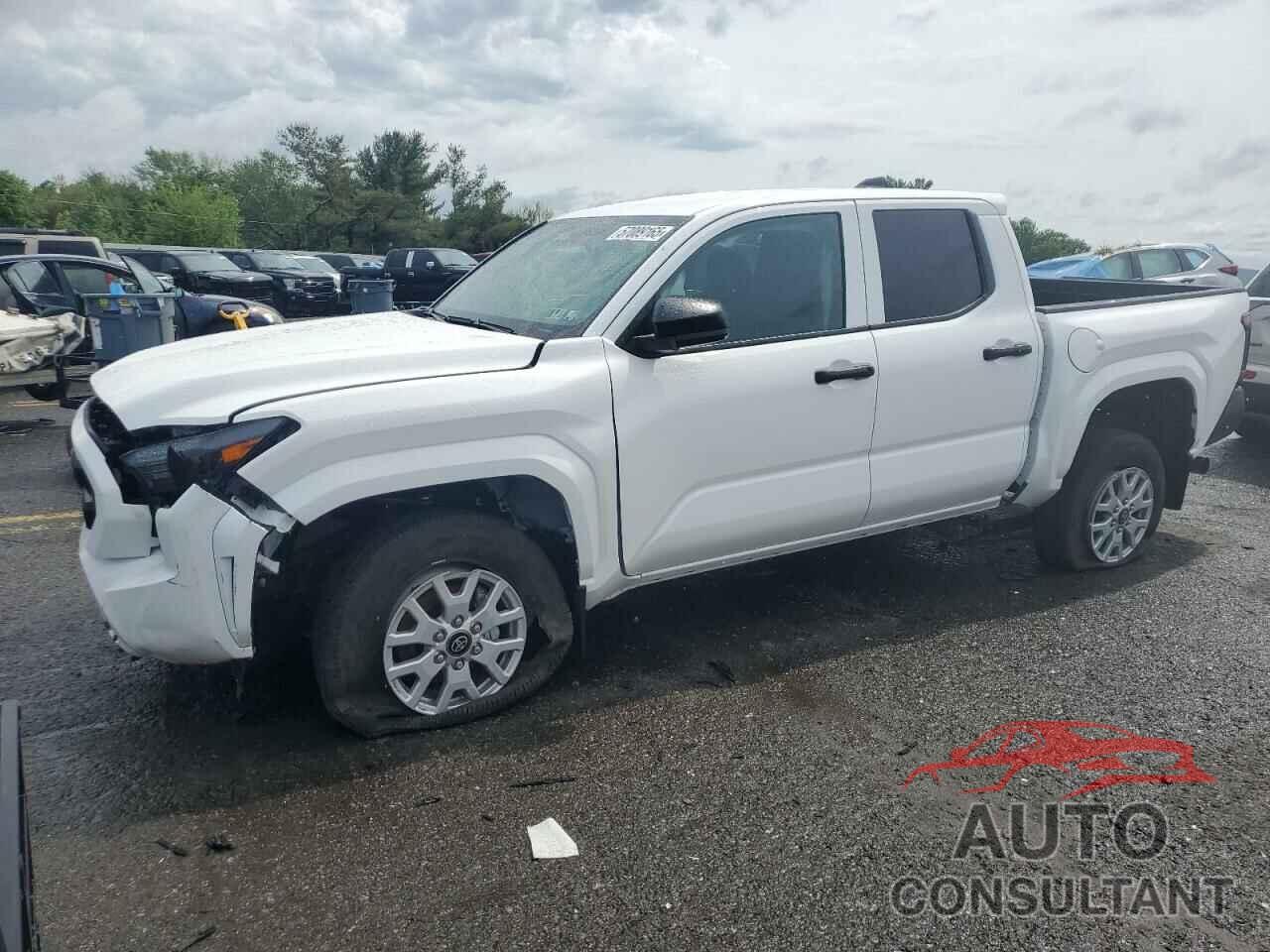 TOYOTA TACOMA 2024 - 3TYKD5HN1RT012618
