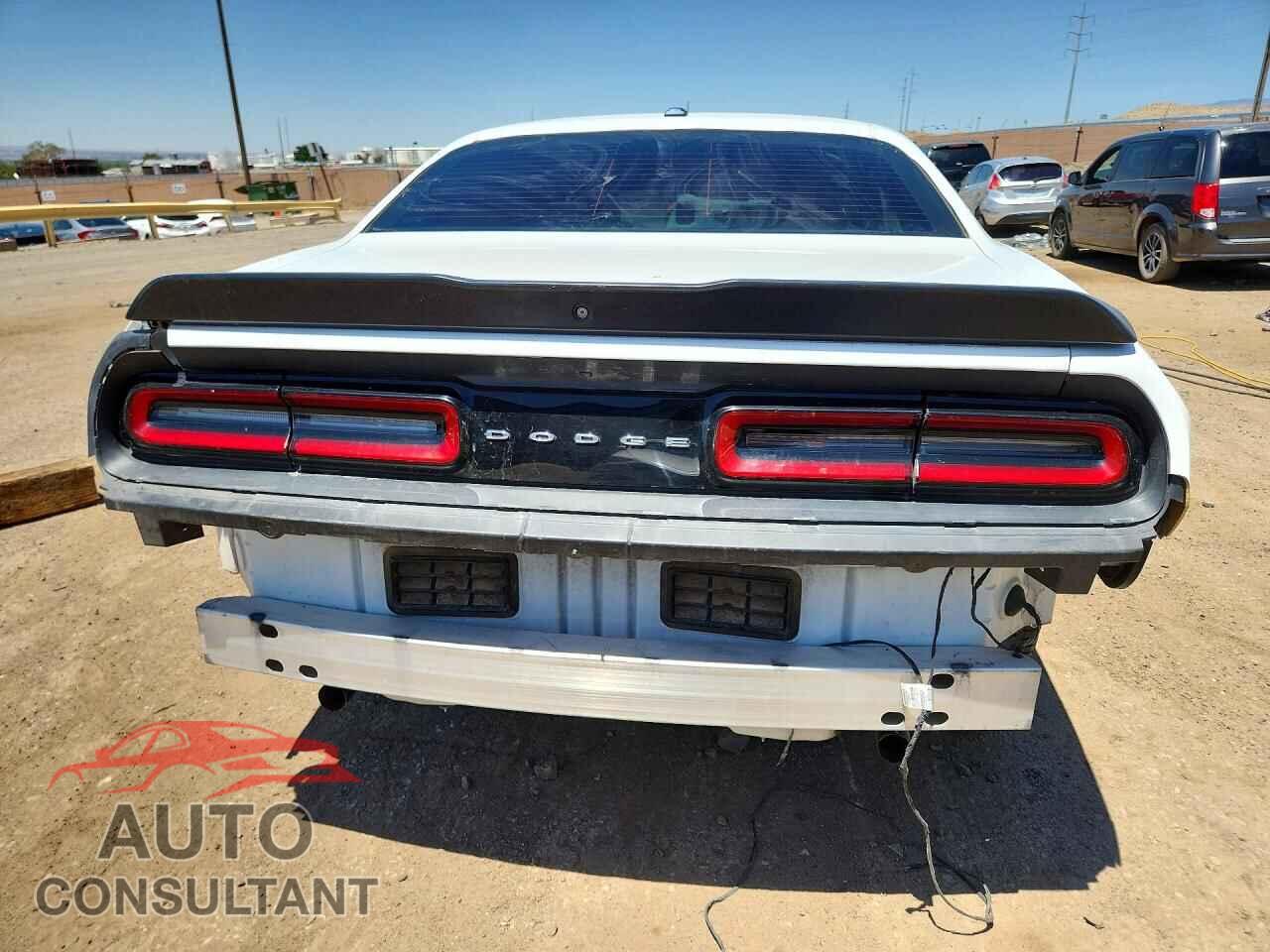 DODGE CHALLENGER 2019 - 2C3CDZAG3KH735267