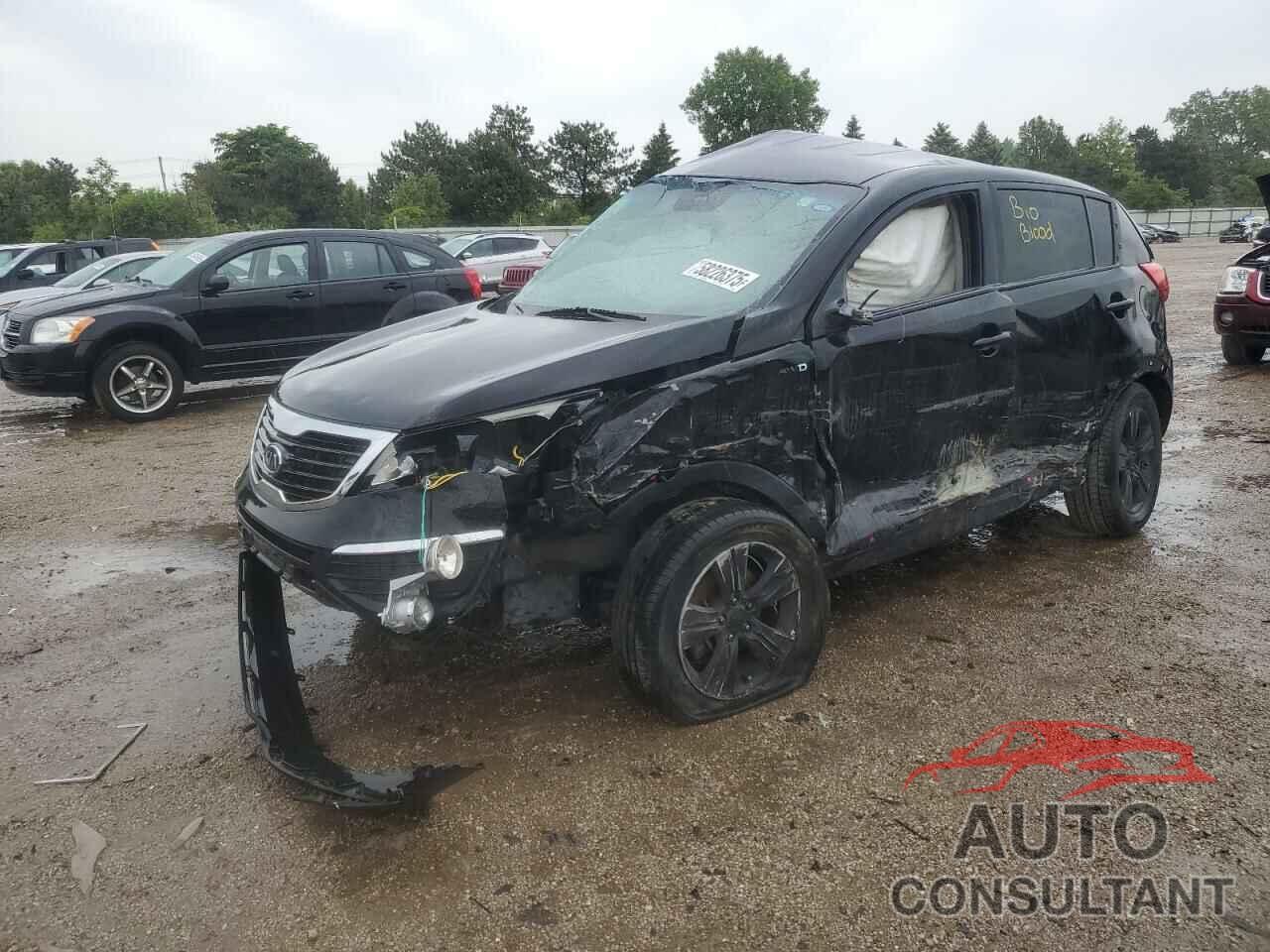 KIA SPORTAGE 2011 - KNDPBCA28B7069300