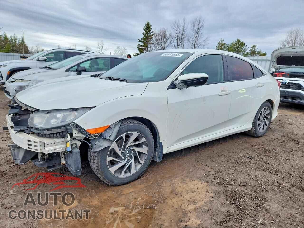 HONDA CIVIC 2017 - 2HGFC2F80HH007713