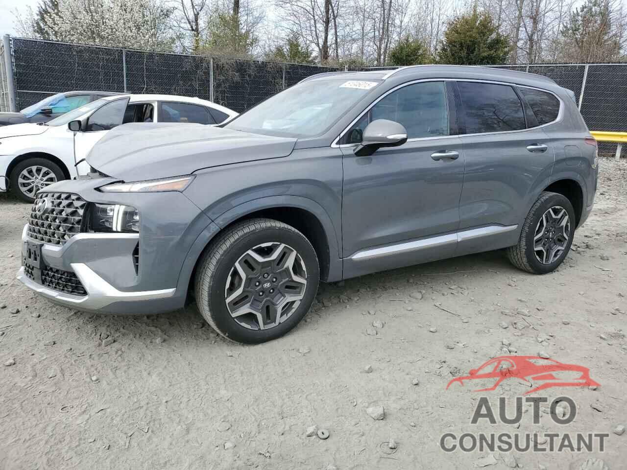 HYUNDAI SANTA FE 2021 - 5NMS5DAL0MH336893