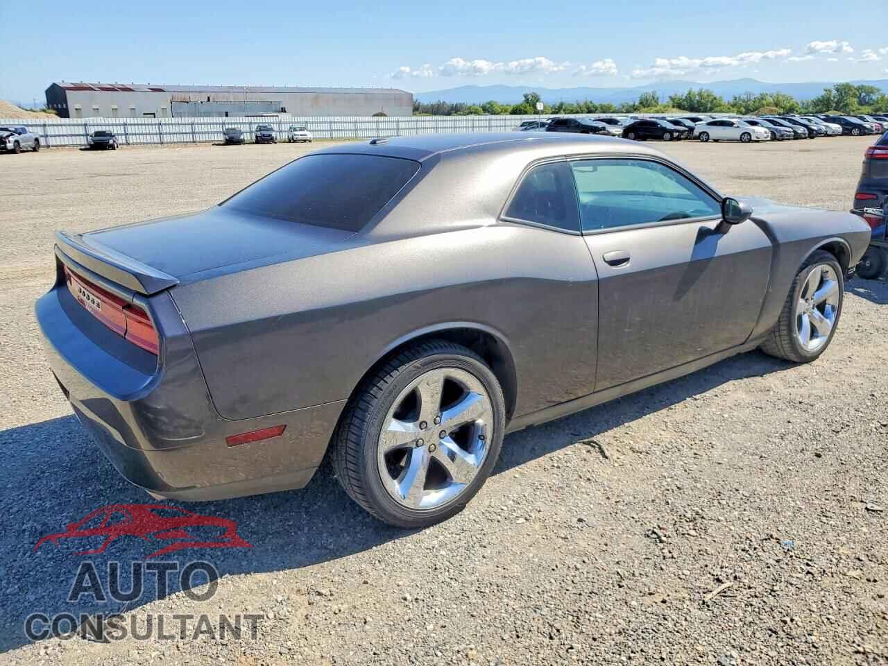 DODGE CHALLENGER 2013 - 2C3CDYAG9DH691966