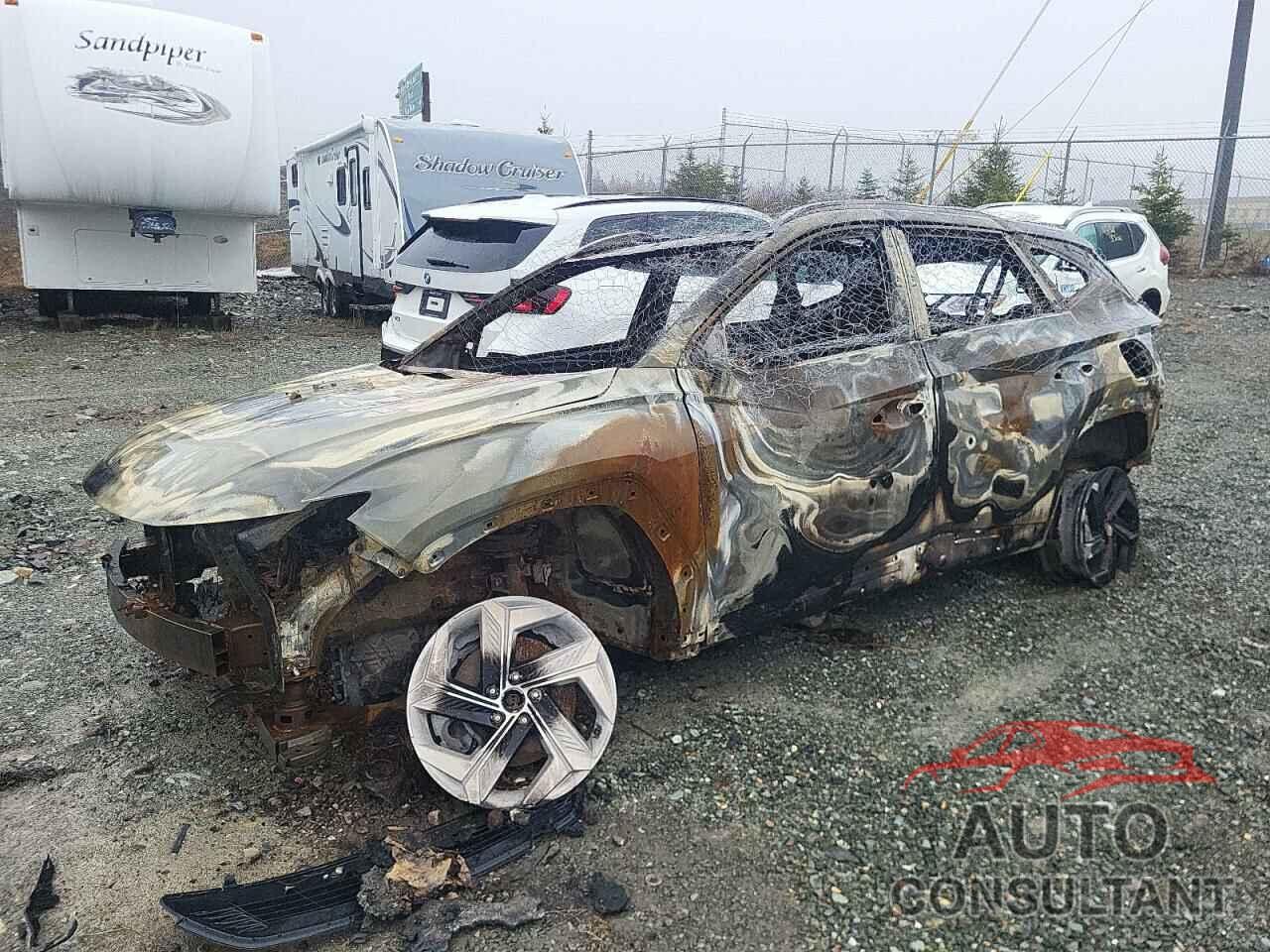 HYUNDAI TUCSON 2023 - KM8JDDA24PU113111