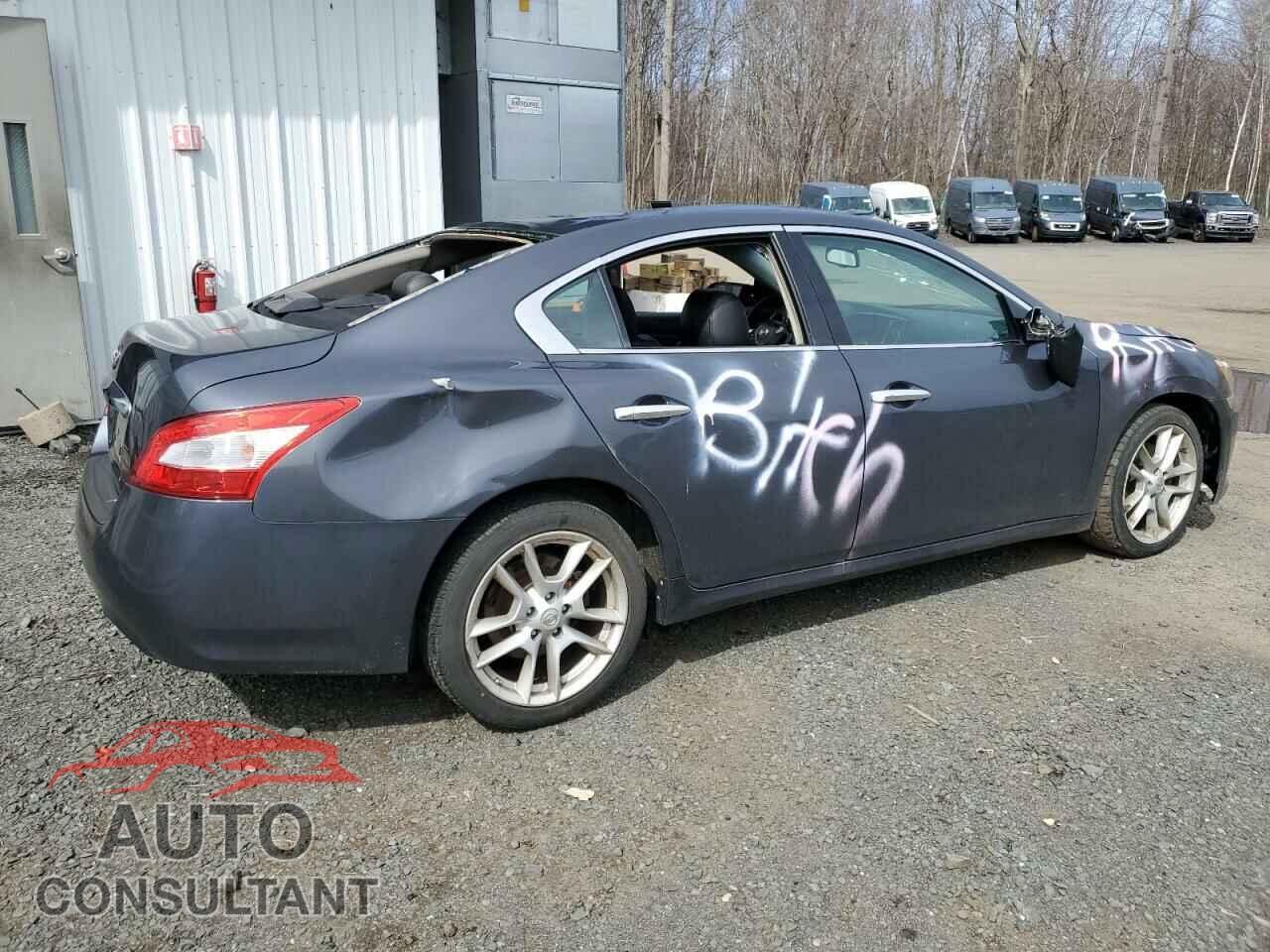 NISSAN MAXIMA 2009 - 1N4AA51E89C835161