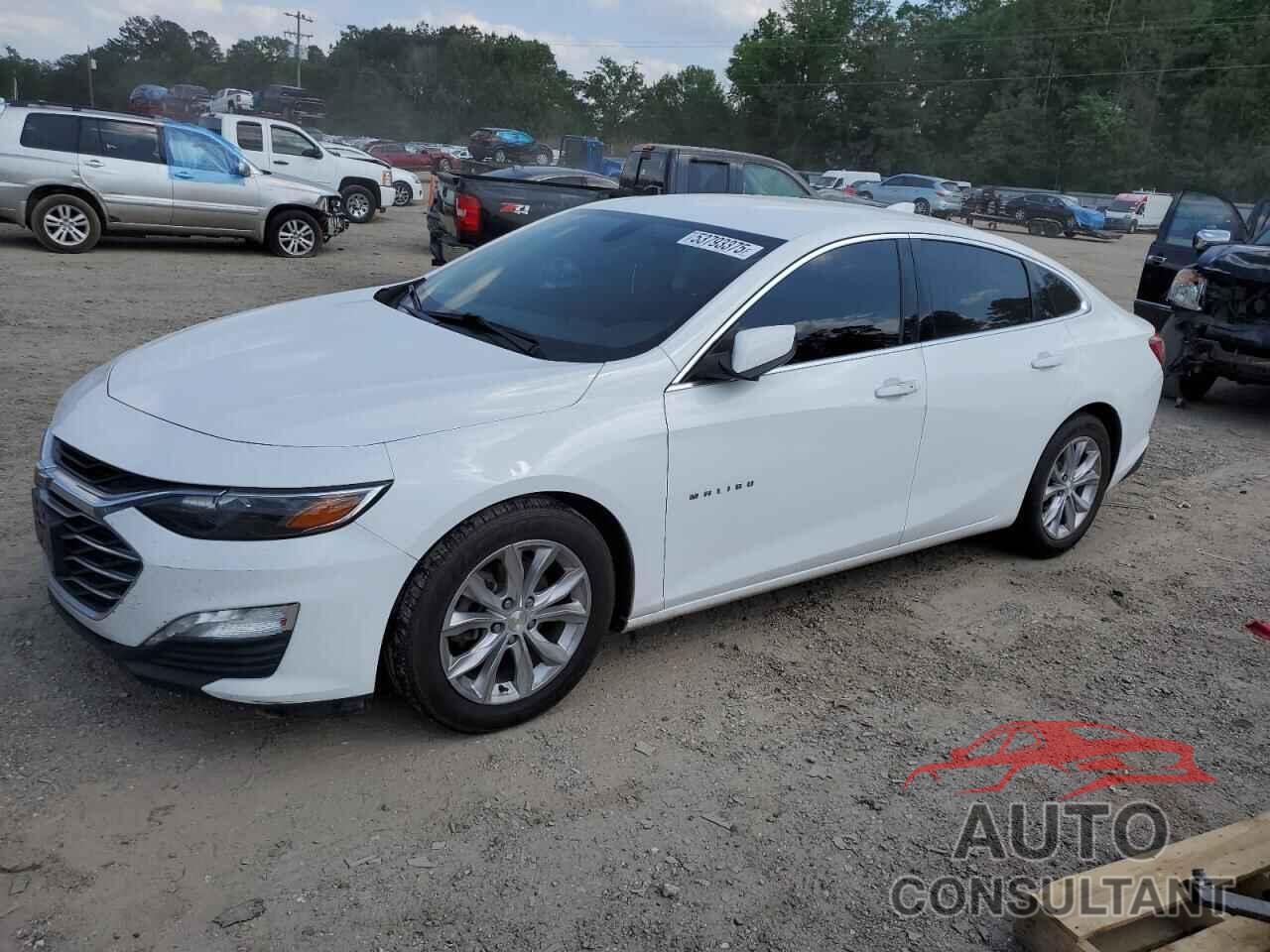CHEVROLET MALIBU 2019 - 1G1ZD5ST1KF161370