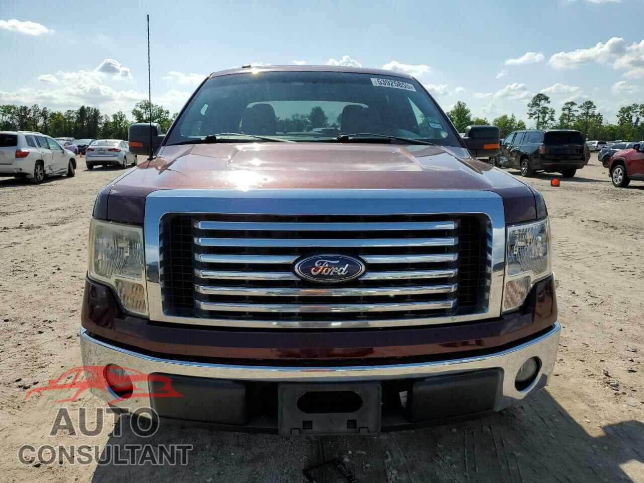 FORD F150 2010 - 1FTEW1C87AFD03660