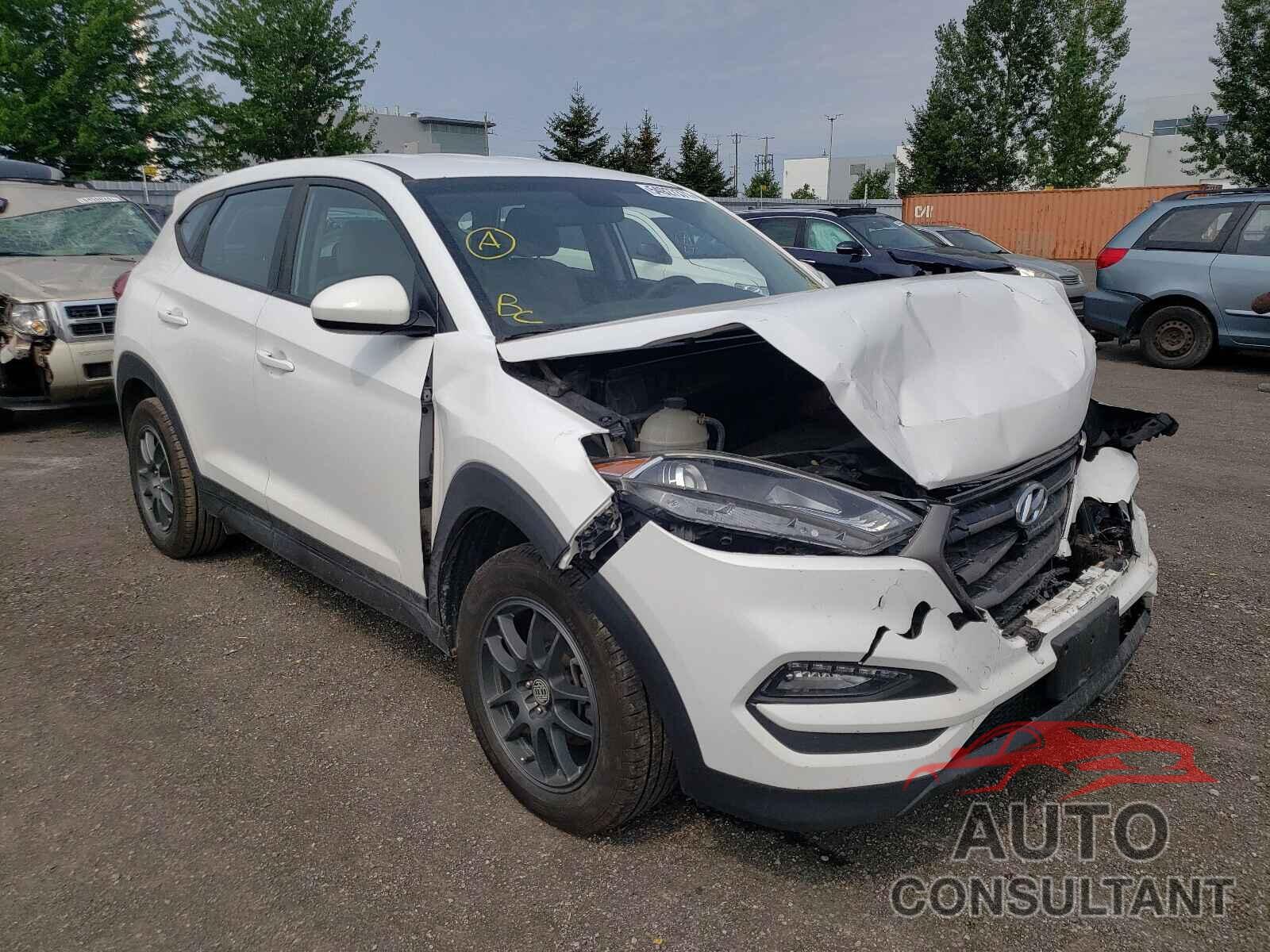 HYUNDAI TUCSON 2016 - KM8J23A45GU142859