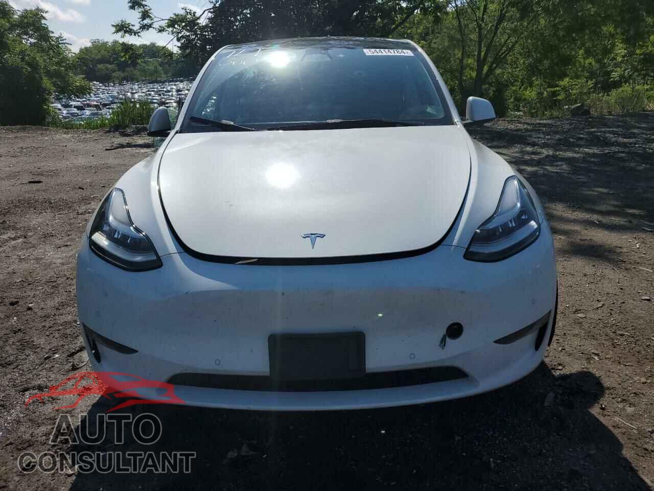 TESLA MODEL Y 2022 - 7SAYGAEE6NF363326