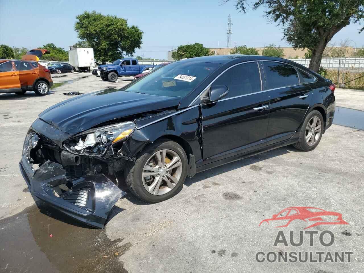 HYUNDAI SONATA 2019 - 5NPE34AF4KH733665