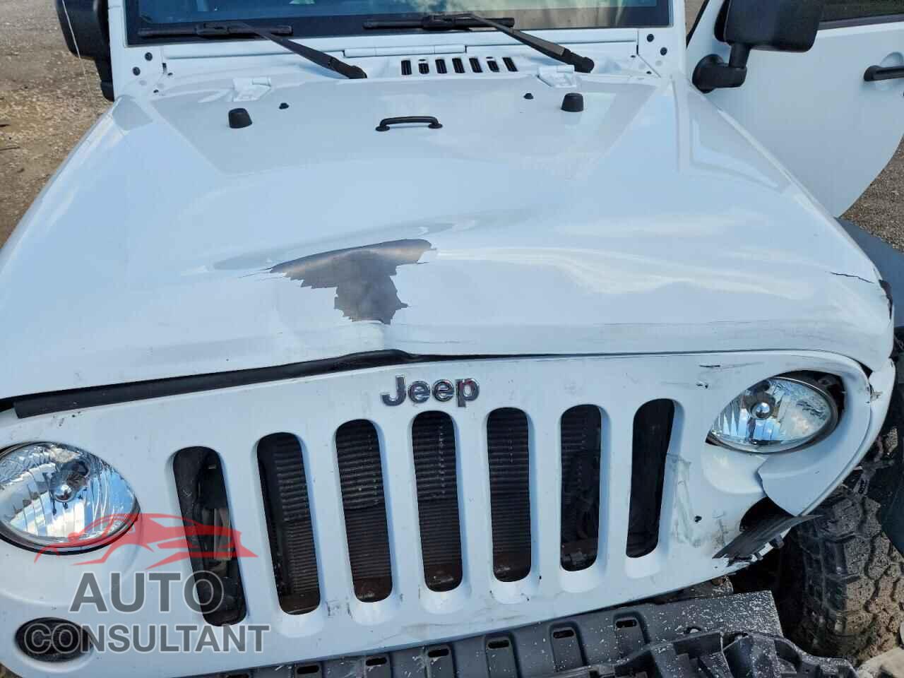 JEEP WRANGLER 2017 - 1C4AJWAGXHL722005