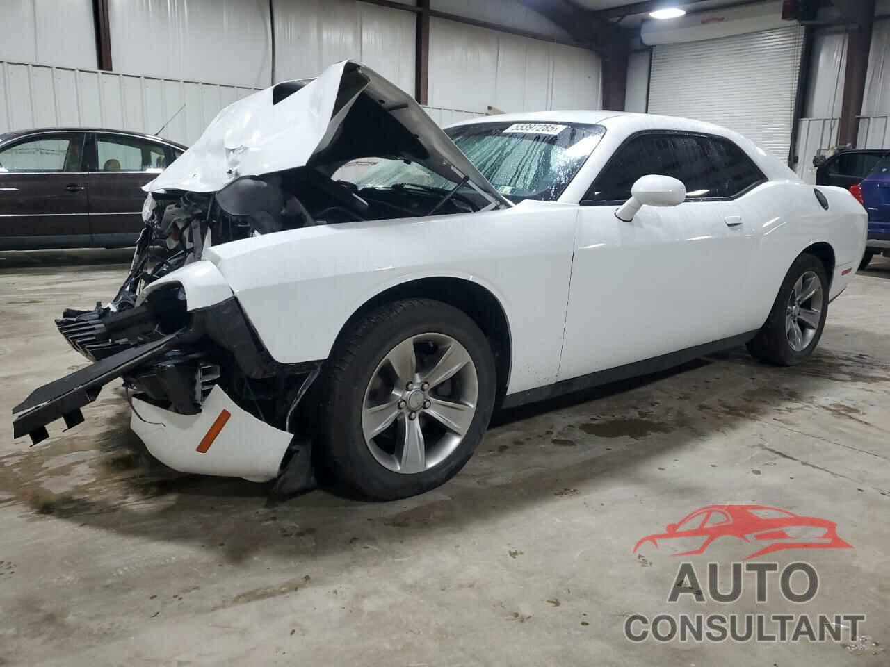 DODGE CHALLENGER 2019 - 2C3CDZAG8KH629610