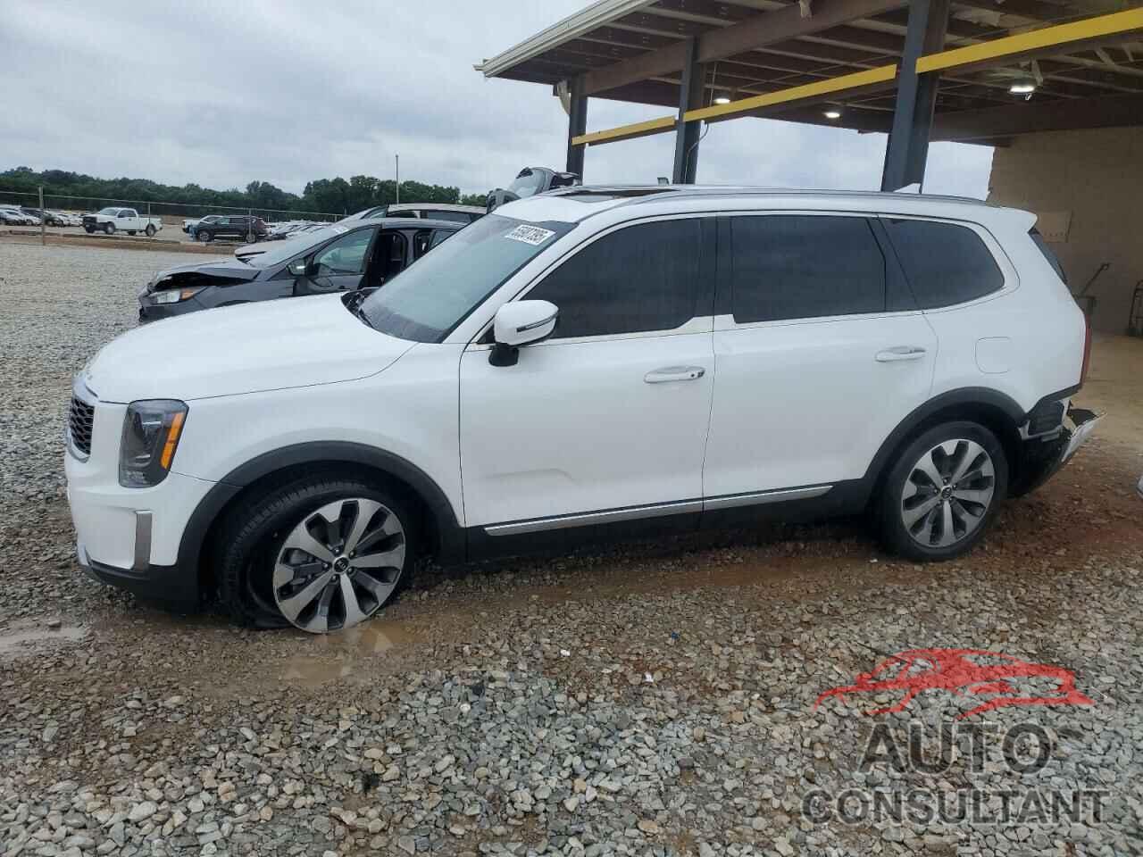 KIA TELLURIDE 2020 - 5XYP64HC1LG006794