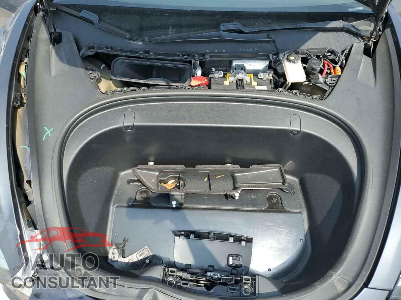 TESLA MODEL 3 2019 - 5YJ3E1EA8KF307586