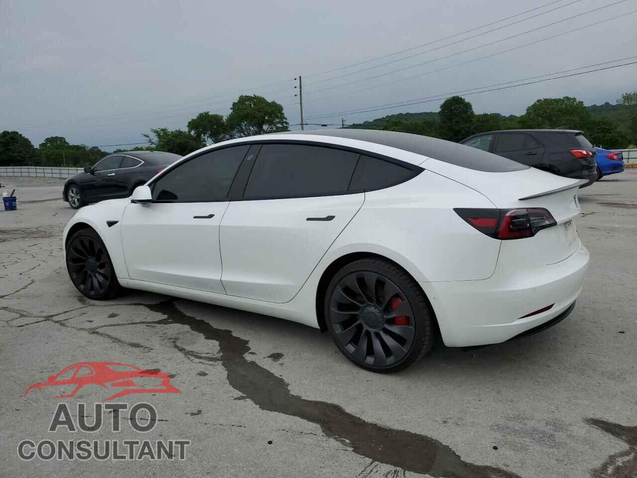 TESLA MODEL 3 2021 - 5YJ3E1EC3MF984923