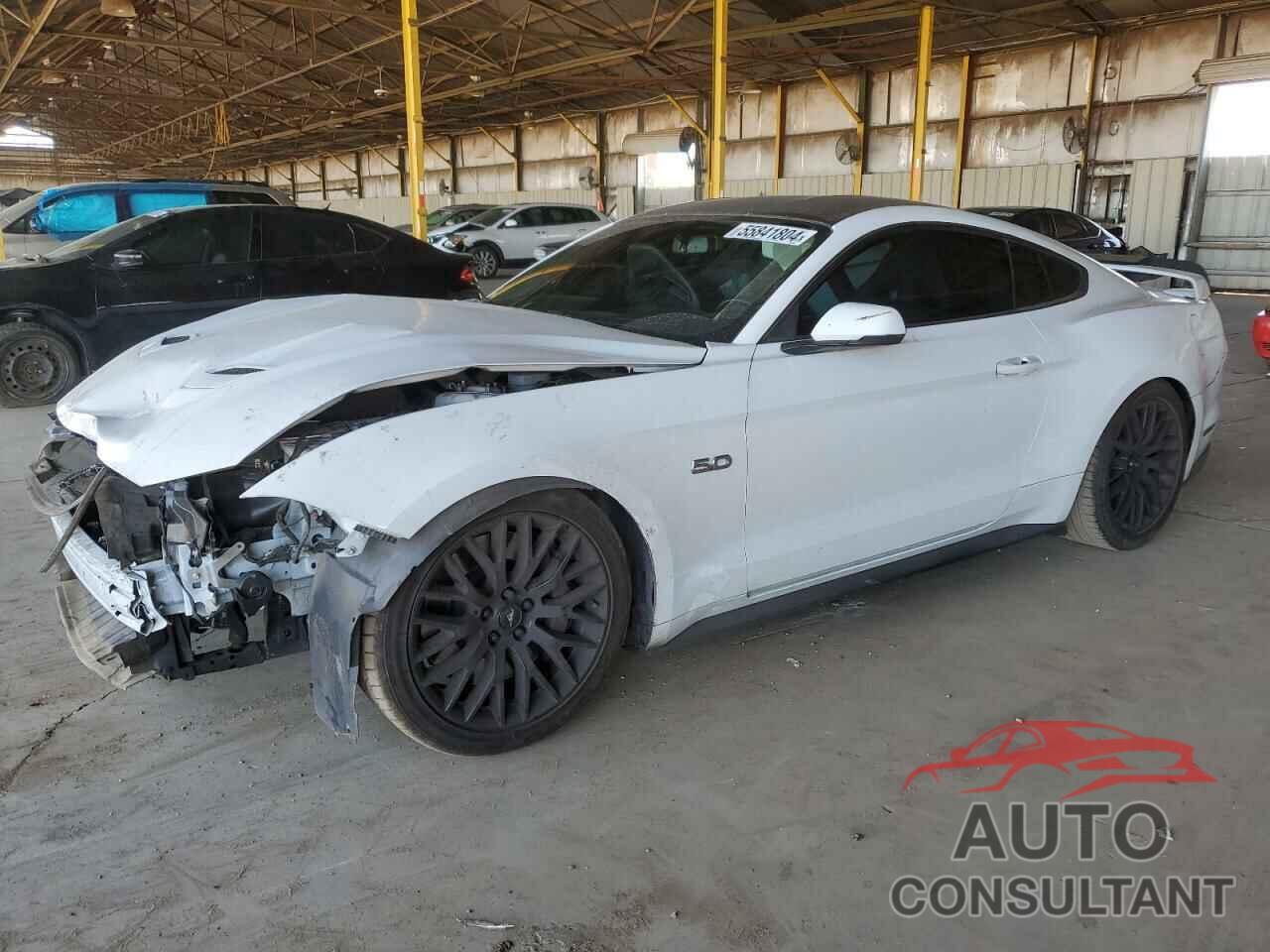 FORD MUSTANG 2019 - 1FA6P8CF3K5168084