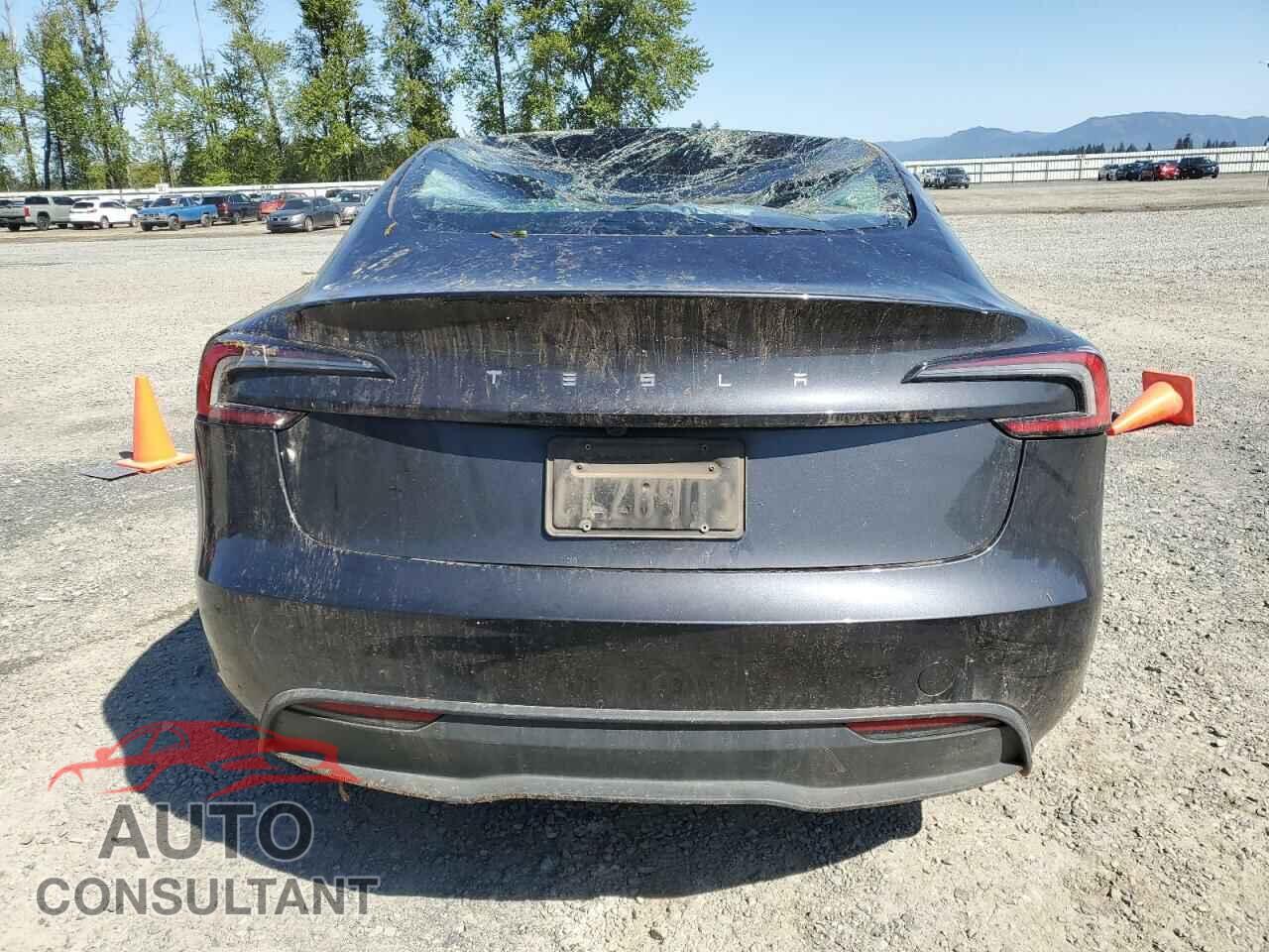 TESLA MODEL 3 2024 - 5YJ3E1EA0RF724968