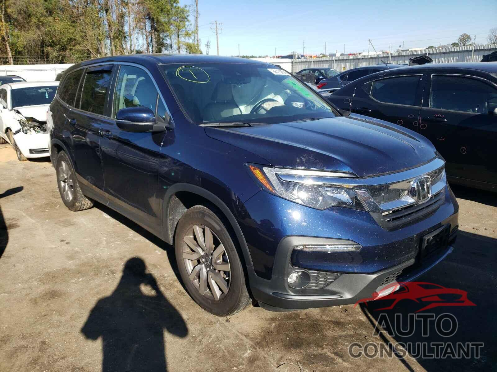 HONDA PILOT 2019 - 5FNYF6H5XKB074440